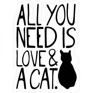Все, что вам нужно, это любовь и кот