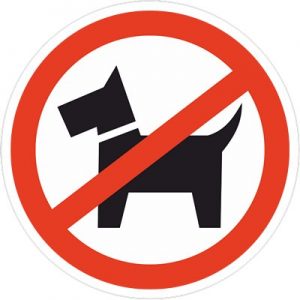 Нет собаки логотип