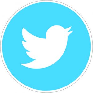 круглый логотип твиттера